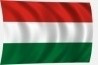 Lobogó magyar 30 x 20 cm