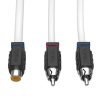 RCA Splitter kábel, DS18 MOFCR-1F2M Marine, 1 W, 2 M